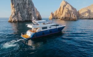 Best Whale Watching Tours Cabo