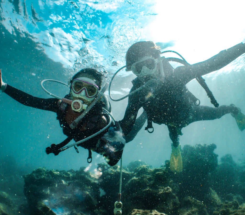 Cabo San Lucas Snorkeling Tours