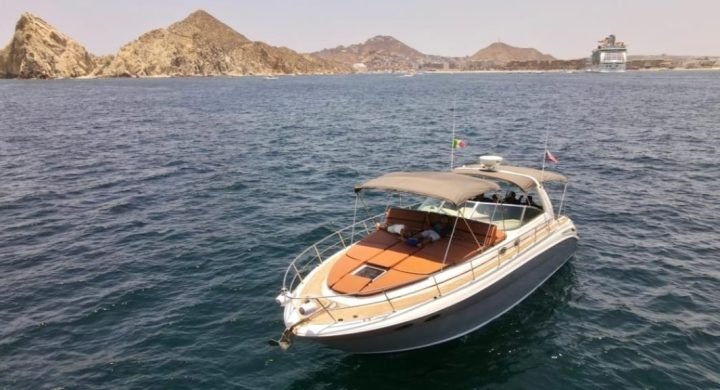 2e0d8186-91fd-45e7-9545-69cdb51f2874