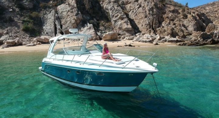 fe036399-542d-47da-889f-e113eff9d045